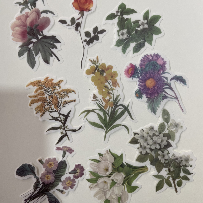 60pc/bag Vintage Flowers Plant - Embellishments For Scrapbooking incelemesi ve fiyatı
